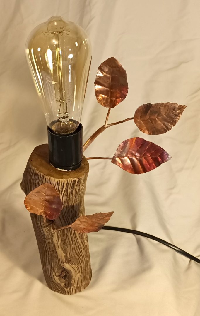Small copper and driftwood lamp